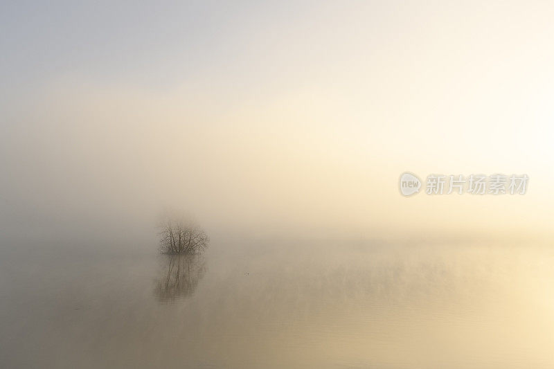 在一个寒冷的冬天的早晨，雾从艾塞尔河升起