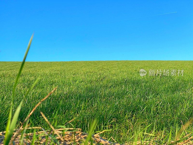 绿色的田野和蓝色的天空，几乎看不见飞机和尾迹