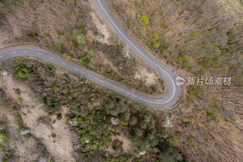 空中之旅-有弯曲道路的森林