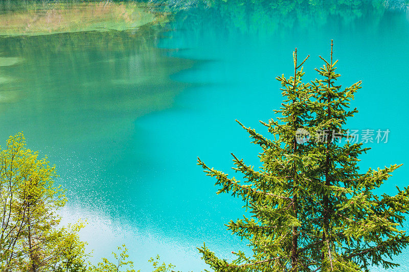 整个框架明亮的蓝绿色湖泊和松树