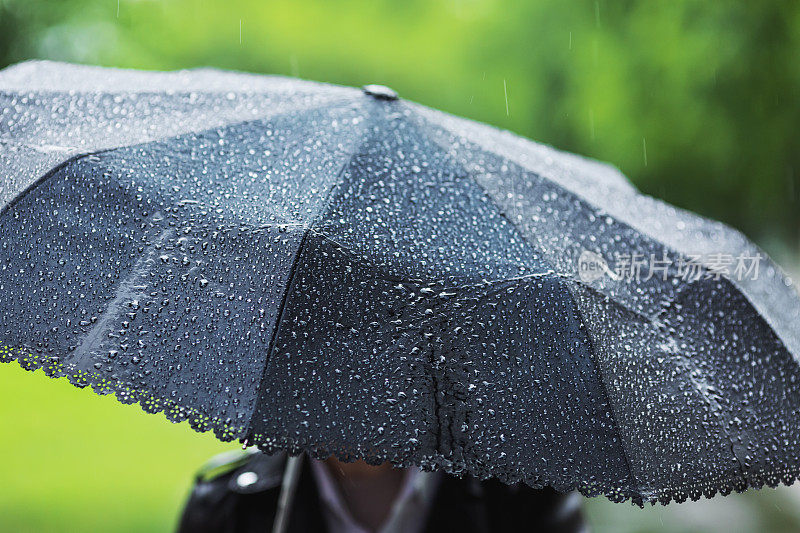 春雨。在雨天打黑伞。深深的悲伤。悲伤的情绪。下雨的城市。大雨在夏天的绿色背景。感到悲伤。寒冷的秋天的天气。抑郁症