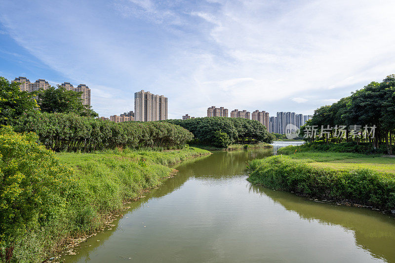 宜居城市的湖泊和绿地