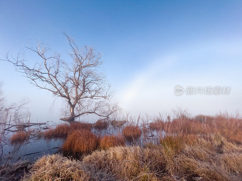 丹格泻湖霜冻的冬季景观