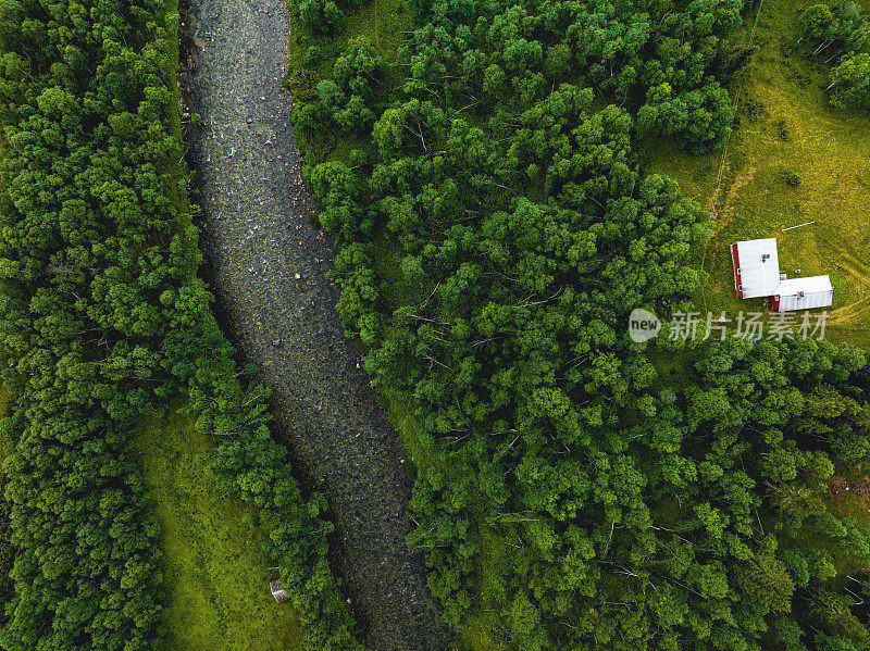 河流流经绿色森林景观