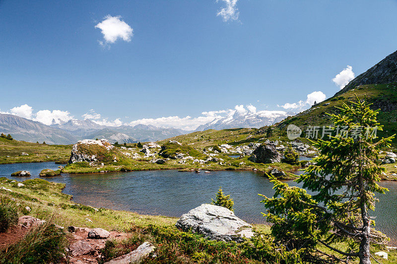 夏季法国阿尔卑斯山脉奥山山脉高海拔湖泊的惊人景观