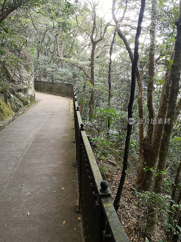 香港太平山顶卢家道