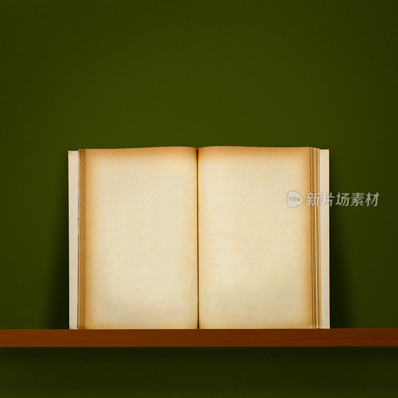 一本空白的旧书放在木架子上，靠着墨绿色的墙