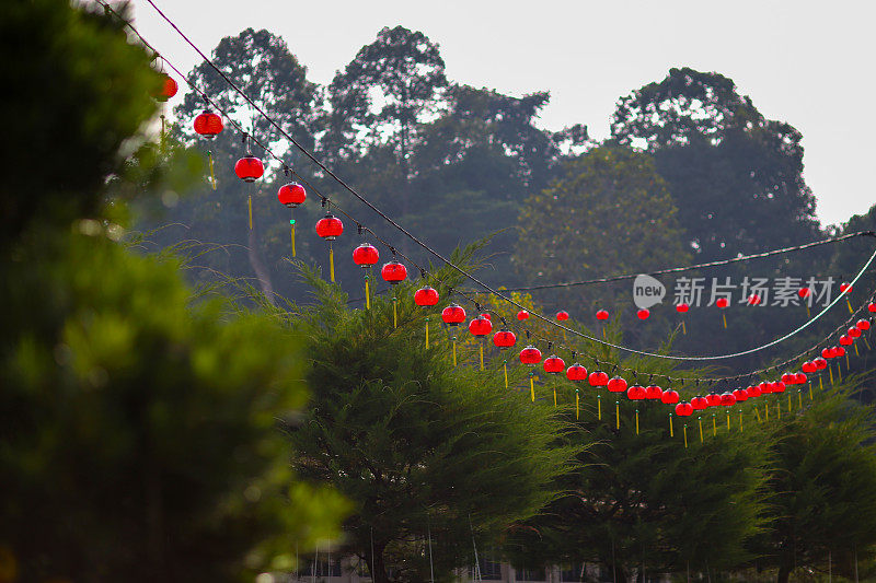 2023年农历新年