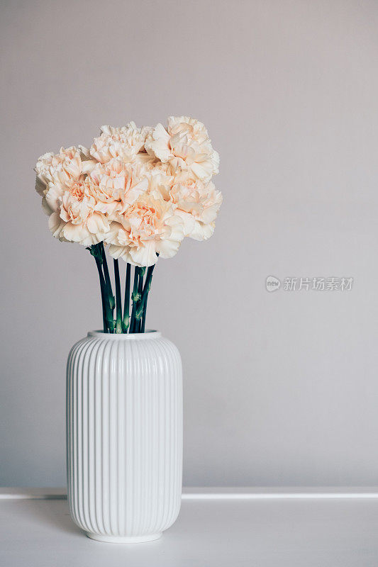 白色背景下，花瓶里盛开着一束美丽的康乃馨。简约的春季静物花香。文本复制空间。