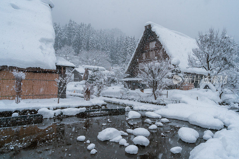 白川村的日本冬天积雪很厚