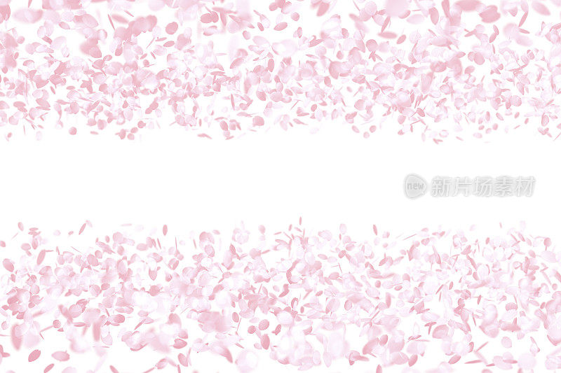 樱花，粉红色的花背景