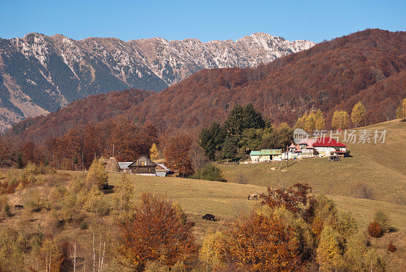 山上的小屋