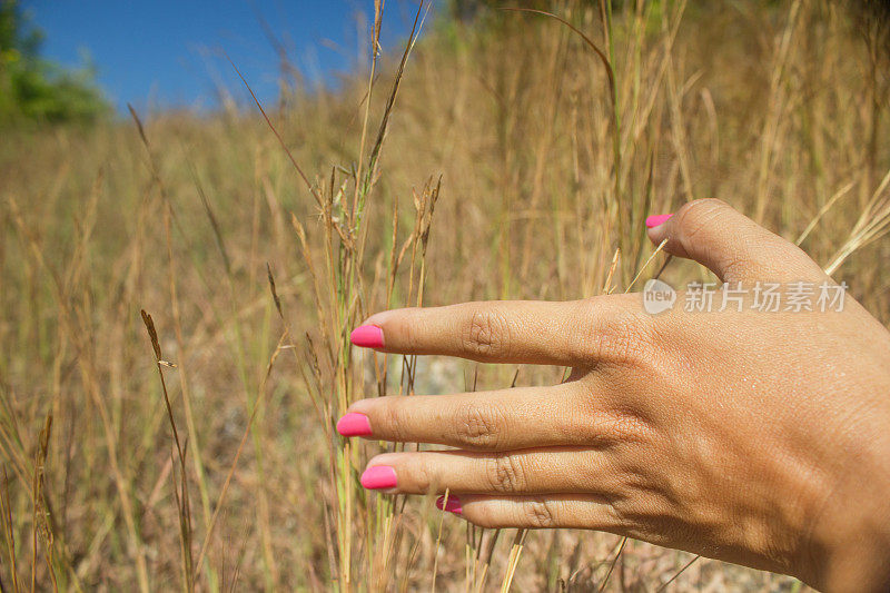 在草原上靠近女人的手