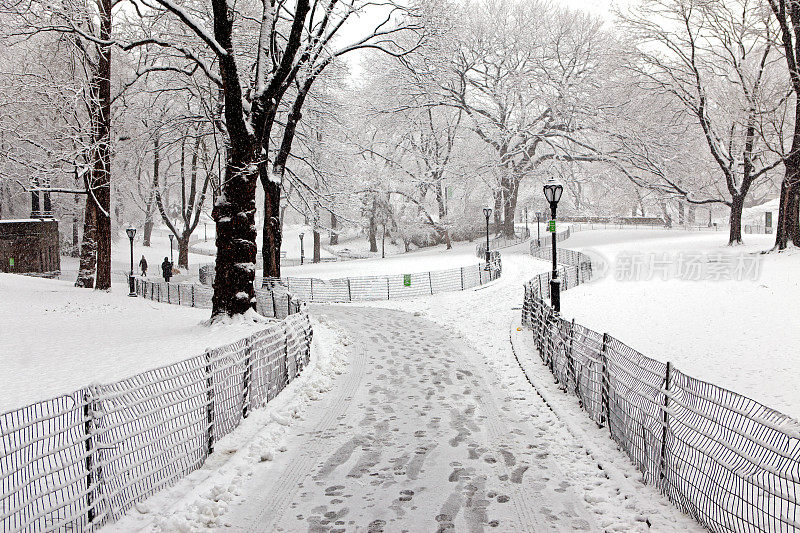 中央公园的雪