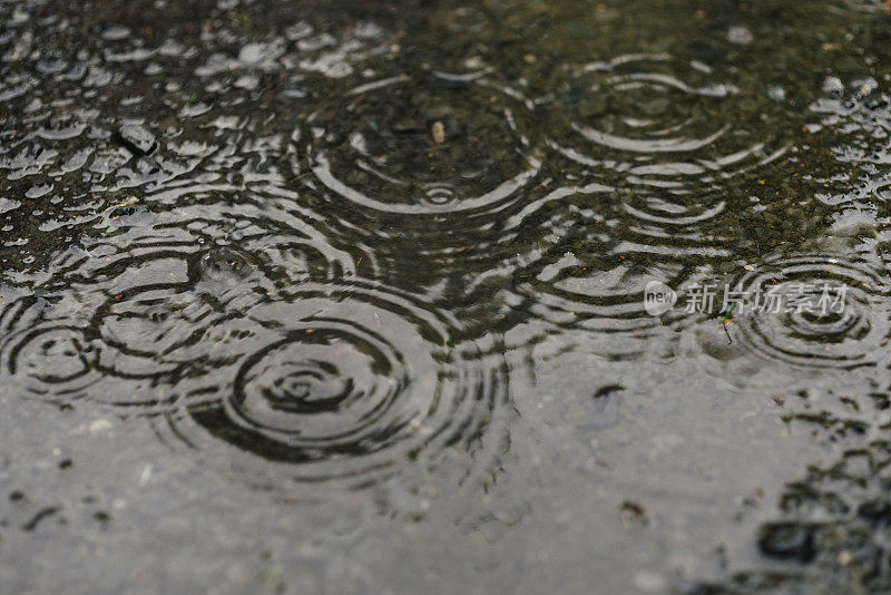 雨滴在水坑