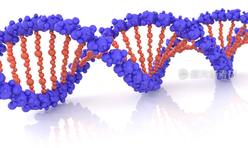 DNA分子结构