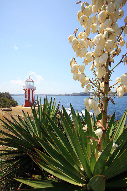 海岸风景与灯塔