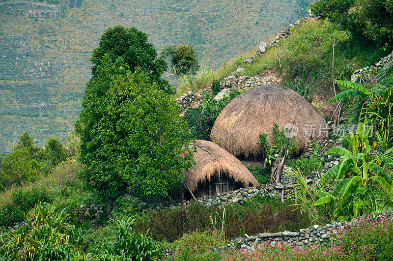 巴布亚的传统村落
