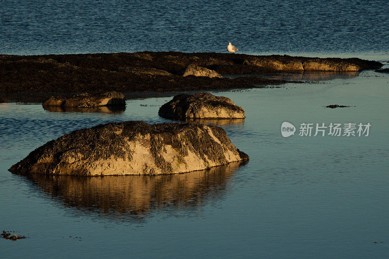 海岸线