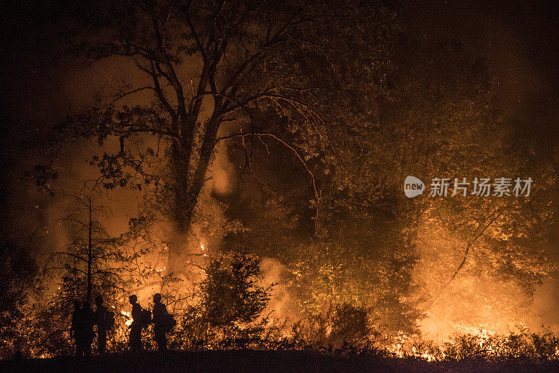 森林着火了