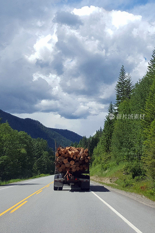 伐木卡车行驶在有树的森林公路上