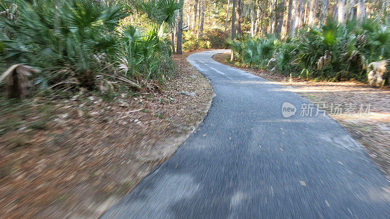 模糊的自行车道，棕榈树，希尔顿黑德岛，南卡罗莱纳州