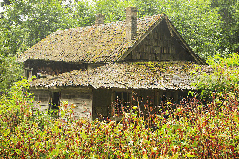 小屋乡村的杂草丛生的荒野隐匿的小屋