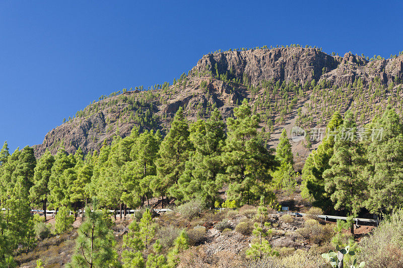 大加那利山风景