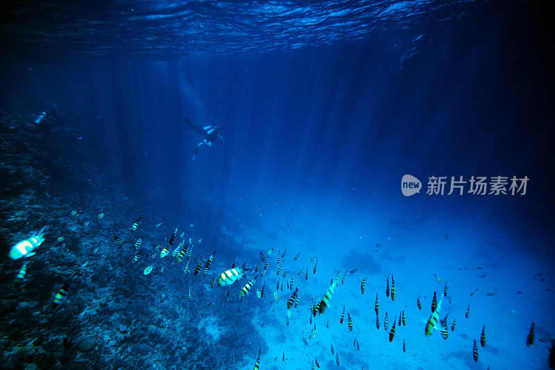 水肺潜水和探索大海