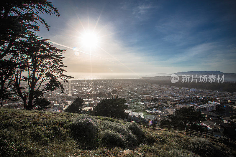 加州旧金山市全景图