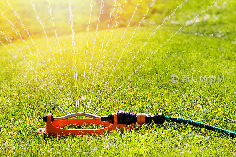 草坪洒水器在草坪上喷水灌溉系统