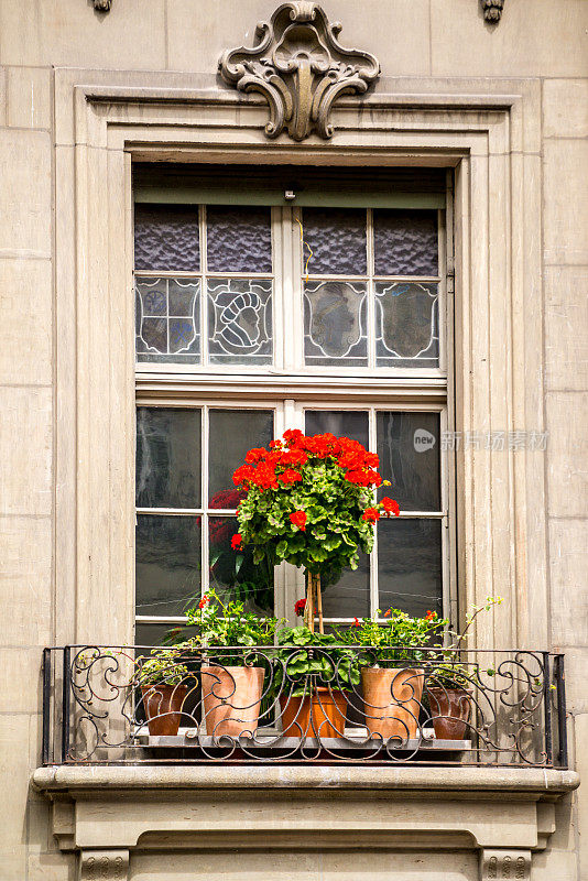 瑞士伯尔尼，装饰着鲜花的窗户