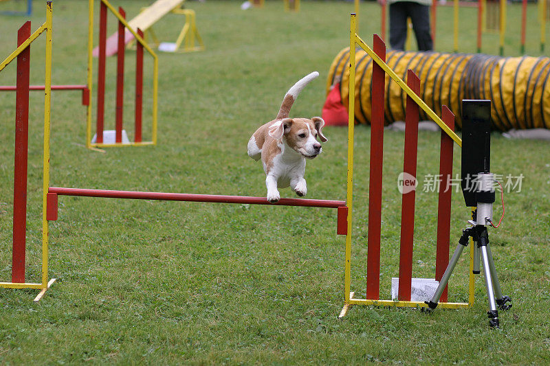 小猎犬号