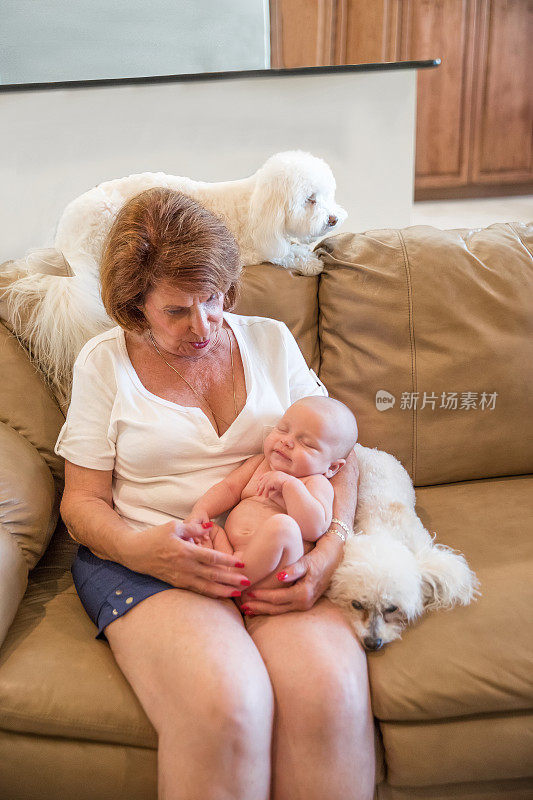 系列:骄傲的祖母抱着6周大的裸孙子和狗