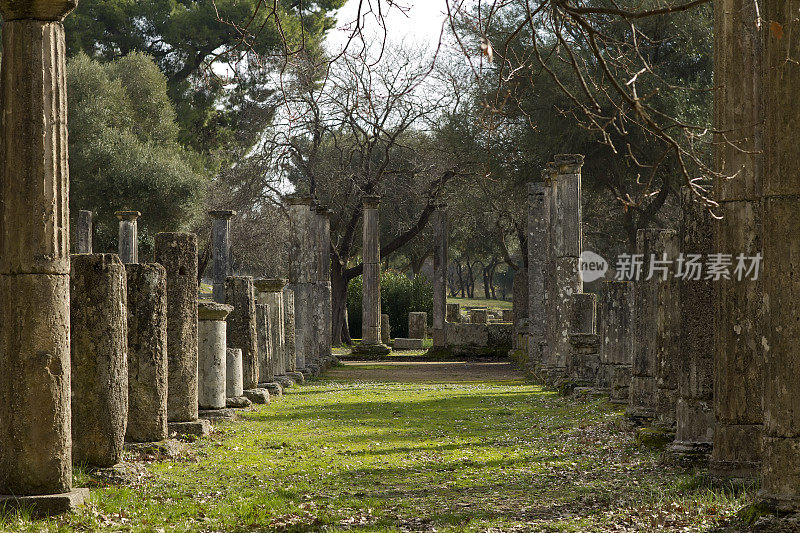 希腊奥林匹亚的古代圆柱