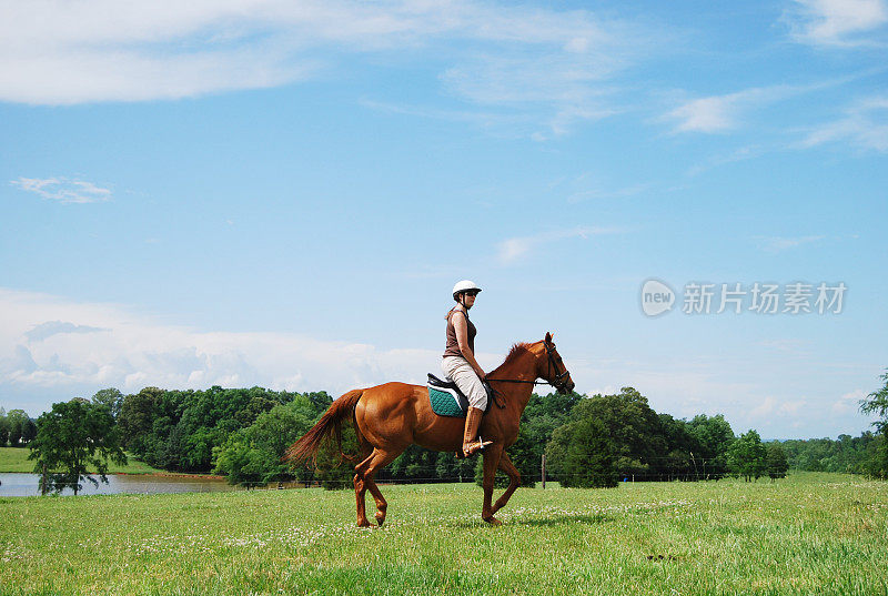 骑马骑马