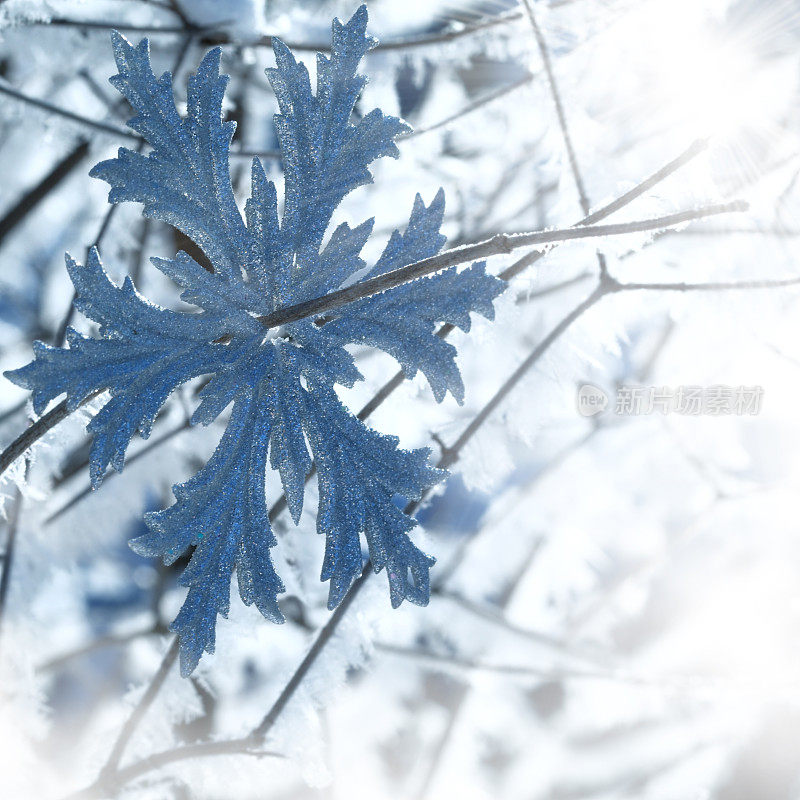 雪花在雪