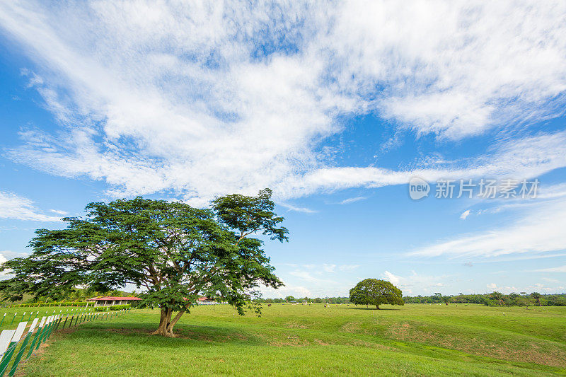 农场，房子，土地，树和天空