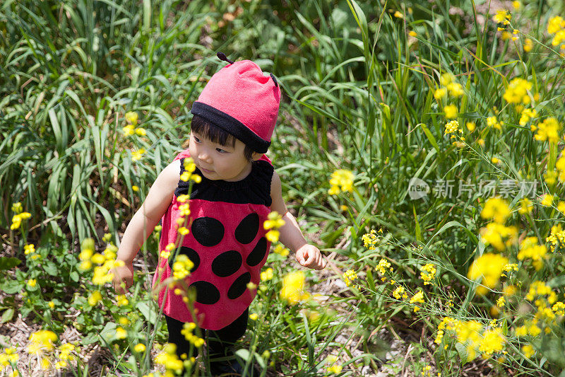 穿着瓢虫服装的小孩在花园里探索