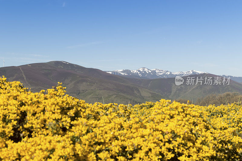 圣地亚哥山路全景