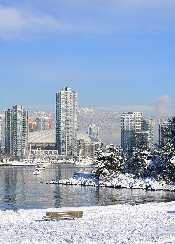 温哥华的查尔森公园和福溪在一个下雪天