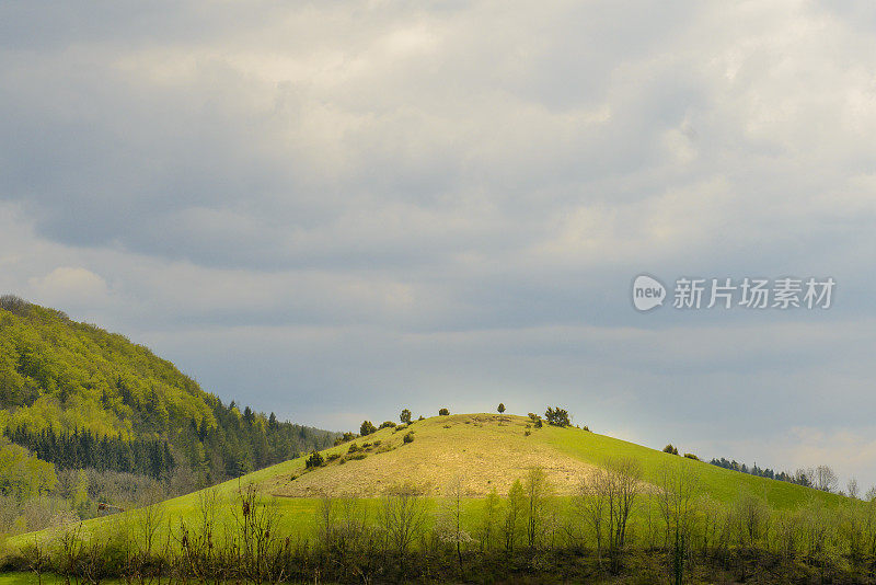 风景如画的小草裸山灌木和树木景观