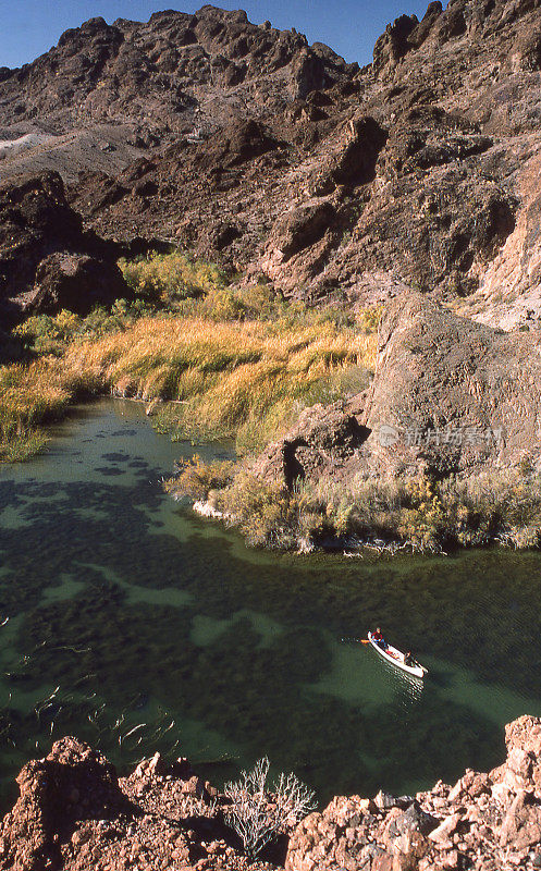 回水沼泽地区和独木舟沿着科罗拉多河上的哈瓦苏湖，亚利桑那州和加利福尼亚州