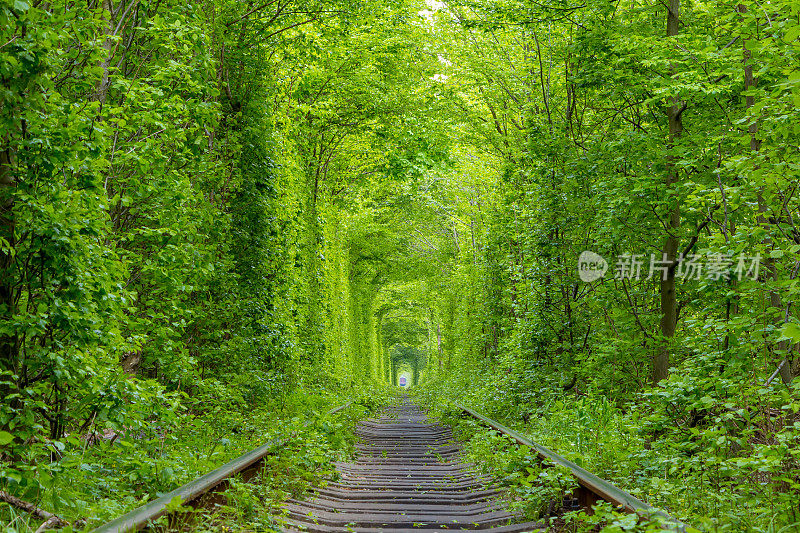 绿色铁路隧道