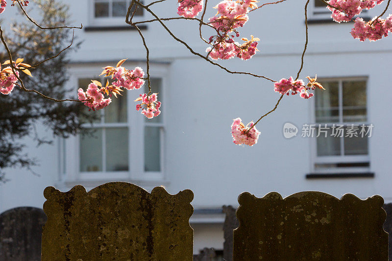 圣尼古拉斯教堂在七橡树，英格兰