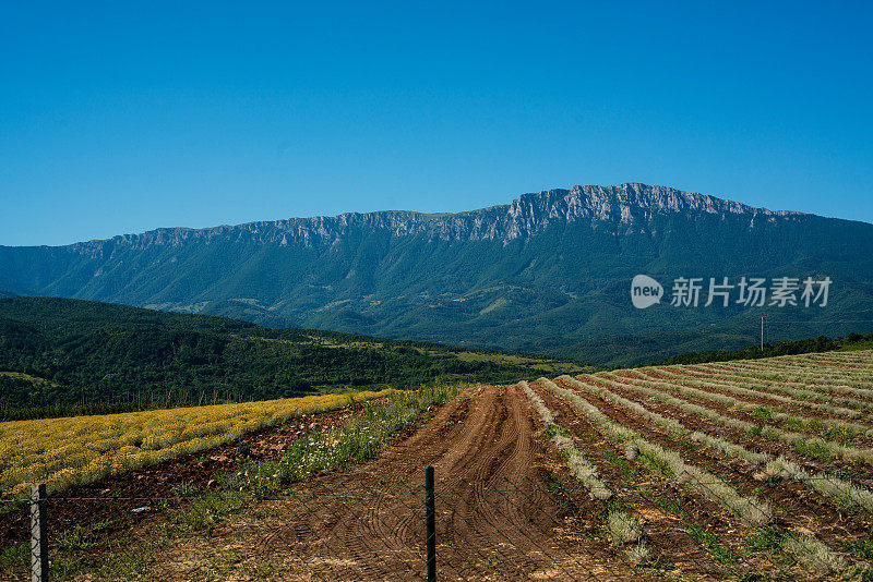 斯塔拉·普兰尼娜