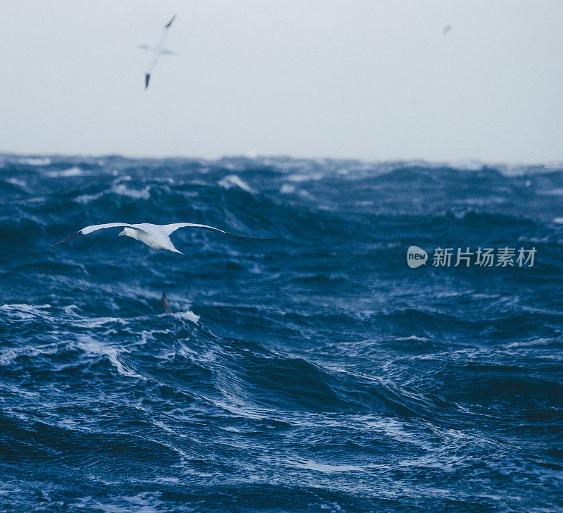 在波涛汹涌的北海