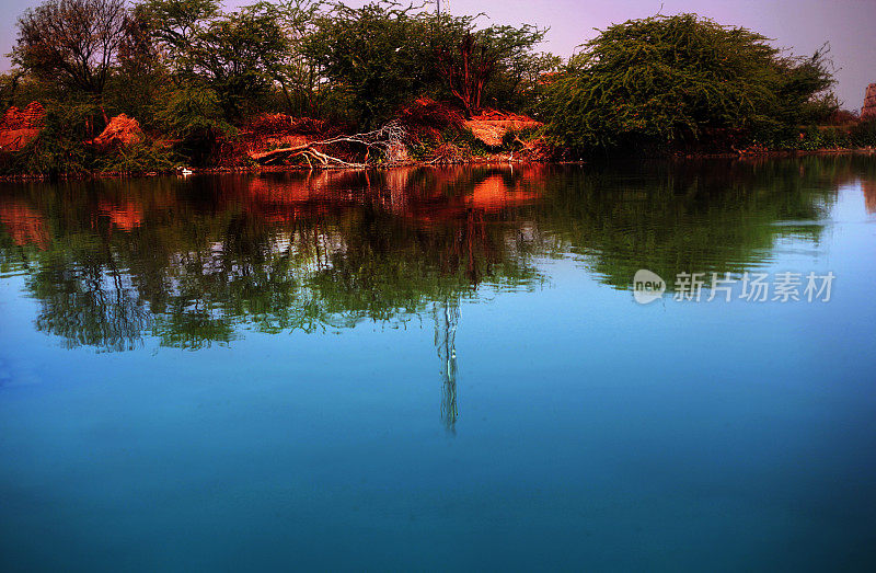 池塘风景