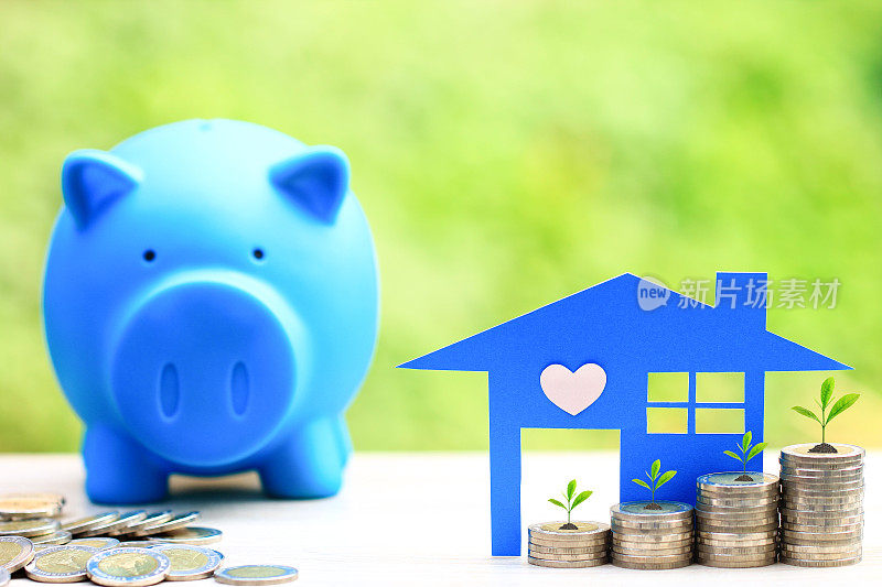 金融，蓝色房子模型和硬币的大头针与蓝色小猪在自然绿色的背景，投资业务和银行概念