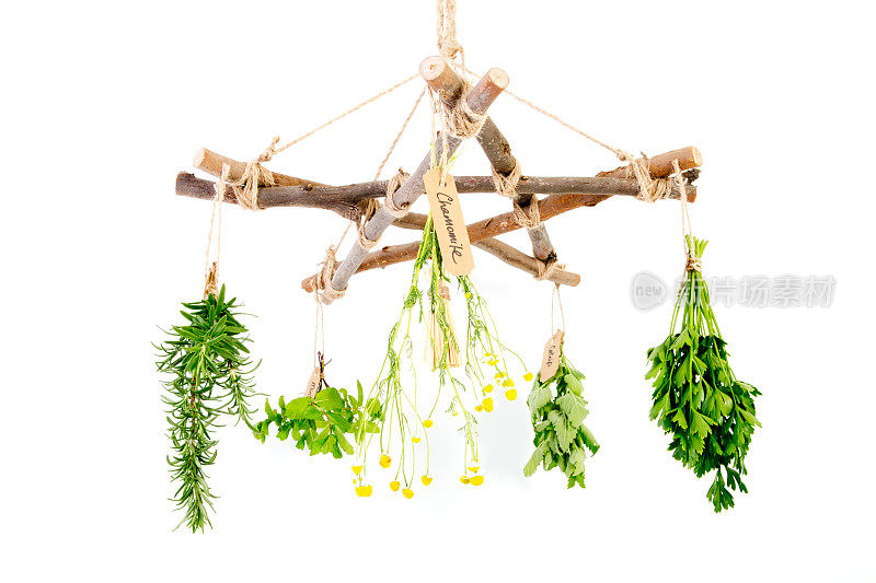 厨房-草药女巫分支五角星草药烘干机女巫的扫帚和新鲜的草药